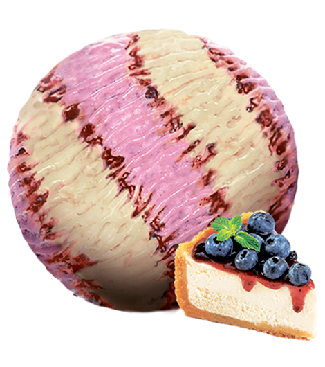 470_530_blueberry_jam